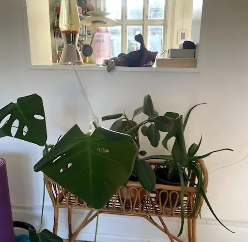 The Heart Of Norrebro Apartment, Sleeps 4 People Apartamento